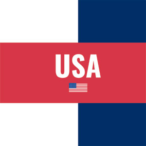 USA Flag Color Block Nintendo Switch OLED (2021) Skin